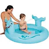 Wehncke Pool Seelöwe