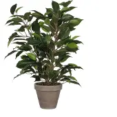 Mica Ficus Natsja Künstliche Pflanze