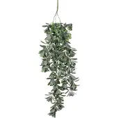 Mica Decorations Mica künstlicher Crassula Hängend grün 79 cm GLO660754910
