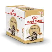 Royal Canin FBN Maine Coon IN Gravy 85g x 12 12x85 g Futter