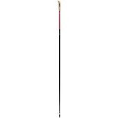 Swix Roadline 1 Pole 160cm