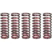 TRW Kupplungsfedernsatz MEF315-5 für HONDA MOTORCYCLES CBR 56,7mm Stahl 15,2mm 20,9mm 0,117kg