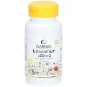 WARNKE L-Glutathion 500 mg Tabletten 100 St Compretten