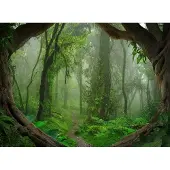 Living Walls Fototapete "Designwalls Tropical Forest" glatt Vlies, Wand, Schräge, Decke