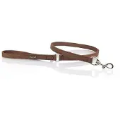 Youpet Correa Elements Estre MR A14 L110