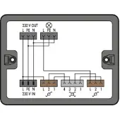 Wago 899-631/305-000 Verteilerbox Kreuzschaltung 1 Eingang, schwarz