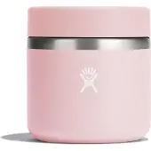 Hydroflask 20 Oz Insulated Food Jar