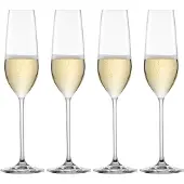 Schott zwiesel Sektgläser Fortissimo 240 ml (4er Set)