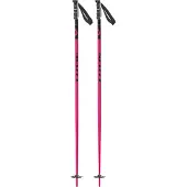 SCOTT Herren Alpin-Skistock SCO Pole SEA