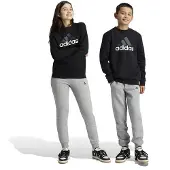 Adidas Essentials Big Logo Fleece Jogger Set