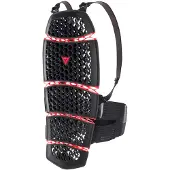 Dainese Pro-Armor 2.0 Back Protector Short