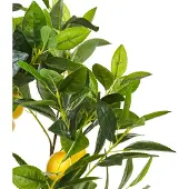 Beliani Lemon Tree