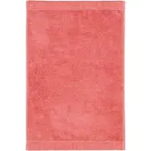 Cawö Gästehandtuch Lifestyle Uni Coral (6er Set)