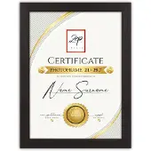 Zep V4721B Certificate Black 21x29,7 cm