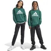 Adidas Kinder Sportanzug Essentials Big Logo Kids