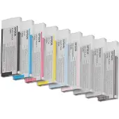 Epson T6062