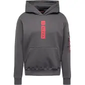Alpha industries Alpha Rp Kapuzenpullover
