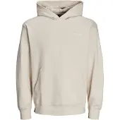 Jack & Jones Kapuzensweatshirt "JCOAERO PRINT SWEAT HOOD NOOS"