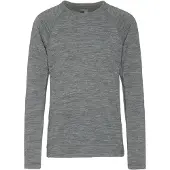 Icebreaker 200 Oasis Crew Merino Langarm-t-shirt