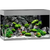 Juwel Rio 125 LED Aquarium Set grau