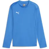 Puma Teamgoal Trainingssweat Kinder - Royal