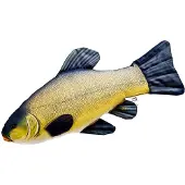 Gaby Das Tench Medium Kissen