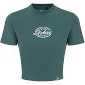 Dickies Globe Kurzarm-t-shirt