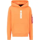 Alpha industries Alpha Puff Print Hoodie