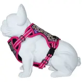 Freedog Boreal Hundegeschirr