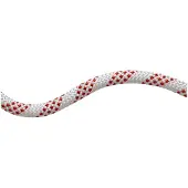 Mammut 11.0 Performance Static Seil