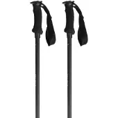 Salewa Wanderstock Puez