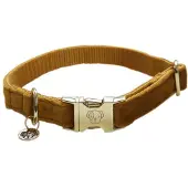 Kentucky Velvet Hundehalsband