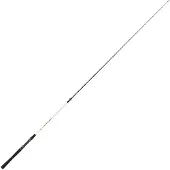 Renzo Valdieri Spot Bass Spinnrute