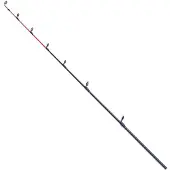 Okuma Big-c-602h Rutenspitze