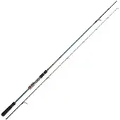 Daiwa Tournament Ags Spinnrute