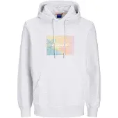 Jack & Jones Aruba Sunset Branding Kapuzenpullover
