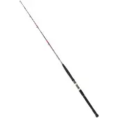 Daiwa Saltist Spinnrute