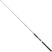 Daiwa Legalis Jiggingrute