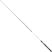 Renzo Valdieri Clear Bass Spinnrute