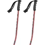 SCOTT Team Issue Gs Stöcke