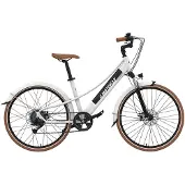 Emotorad Plymouth Elektrofahrrad