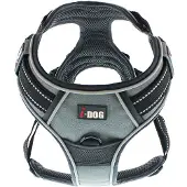 IDog Style Hundegeschirr