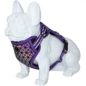 Freedog Boreal Hundegeschirr