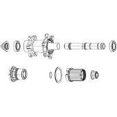 Zipp Ratschenkits/Feder für Nabe ZR1 (x6)