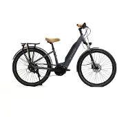 Granville E-absolute 15 Acera Elektrofahrrad