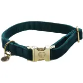 Kentucky Velvet Hundehalsband