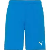 Puma teamRISE Short Herren M
