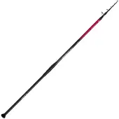 Shimano Fishing Forcemaster Monster Teleskop-surfcasting-rute Silber 4.20 m / 200 g Silber 4.20 m