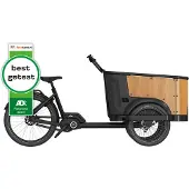 Cangoo Elektrofahrrad Buckle Up