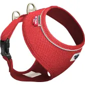 Curli Basic Geschirr Air-Mesh rot, Größe: M / Gewicht: 6-9 kg